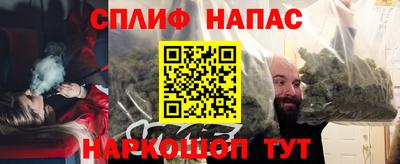 шишки Будённовск