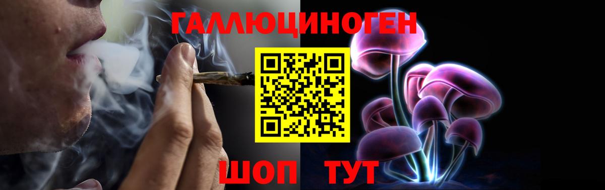 Одинцово  Псилоцибиновые грибы MAGIC MUSHROOMS  наркотики  Вход с VPN 